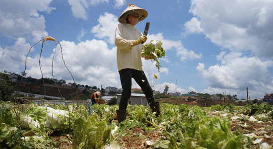 Nông dân đói vốn, DN nhỏ bế tắc