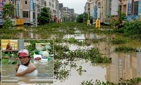 Phố biến thành sông sau siêu bão
