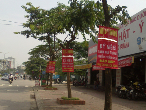 Rác quảng cáo đu ngọn cây, ôm thân cột điện