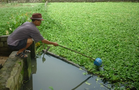 Học sinh lớp 9 giết bé 6 tuổi ném xuống ao