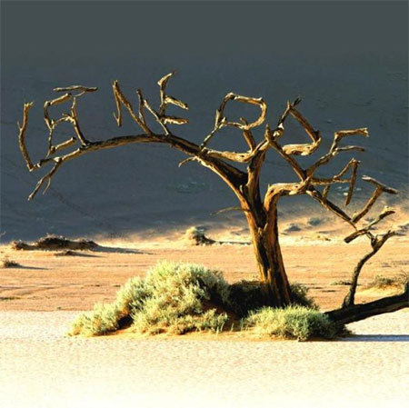 'Tối hậu thư' của ông chồng đồng tính