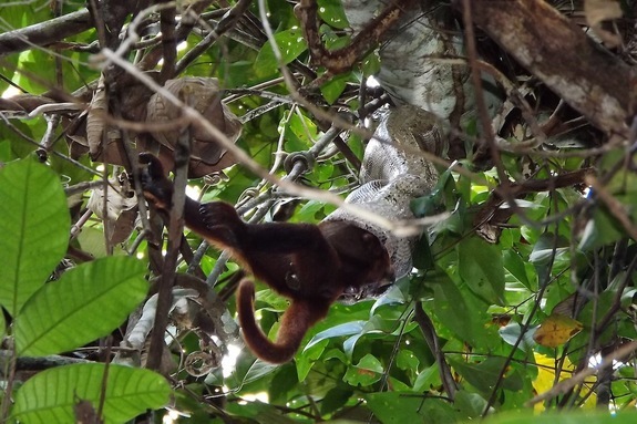 {keywords}