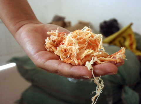 Hoang mang… mực khô