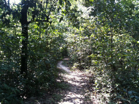 Nữ sinh bị hại đời vì cả tin “cán bộ sở giáo dục dỏm