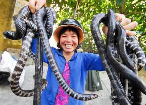 Những phụ nữ kiếm tiền 'lì' nhất miền Tây