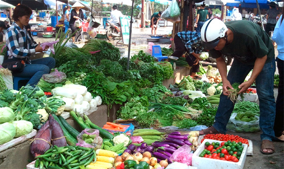 Rau quá đắt, dân Hà Nội liều mạng ăn rau Trung Quốc