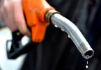 Giá xăng dầu lại nhấp nhổm tăng vì... bất ổn ở Syria