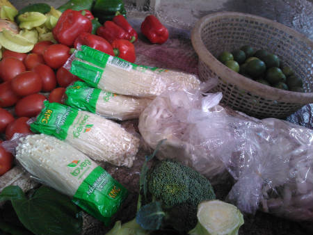 Nấm kim châm 'đáng ngờ' tung hoành khắp nơi