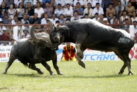 Di sản và những 