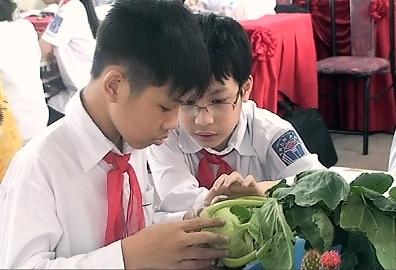 'Cuộc phiêu lưu đẹp' trong trường học Việt