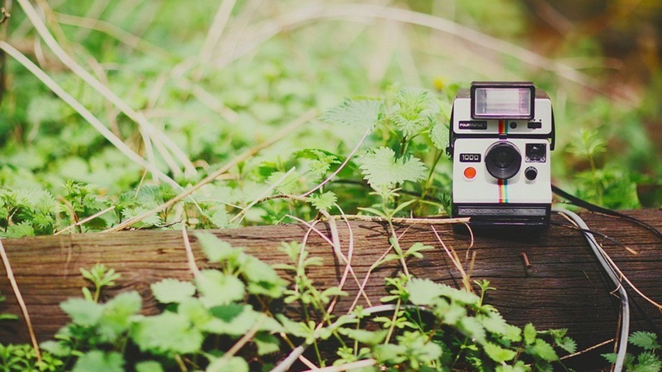 Instagram cập nhật giao diện mới cho iOS 7