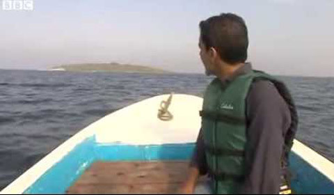 Tới thăm hòn đảo mới mọc lên sau động đất