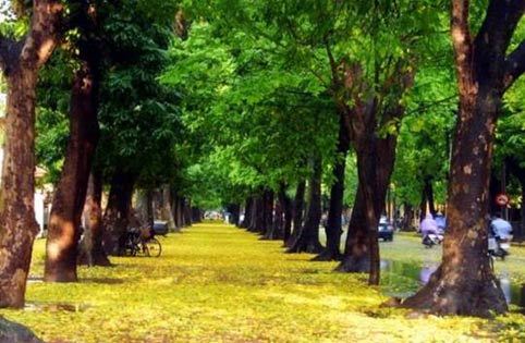 Du lịch Hà Nội: Cẩm nang từ A đến Z