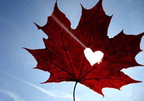 Nghi ngờ chồng ngoại tình với giúp việc