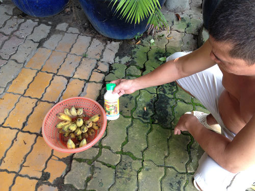 'Tà dược' ép chín trái cây