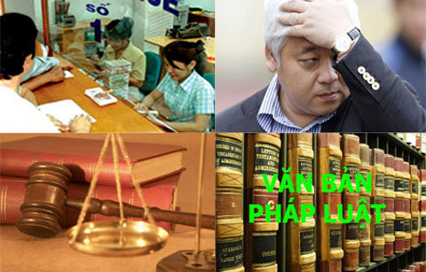 'Đau ruột' vì mất trăm tỷ bởi lý do trên trời