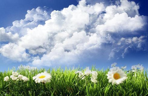 Ồn ào dọc phố tiếng loa...