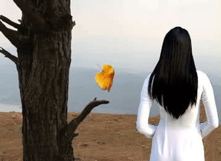 Sao phải chịu đau đớn chỉ vì đàn ông?