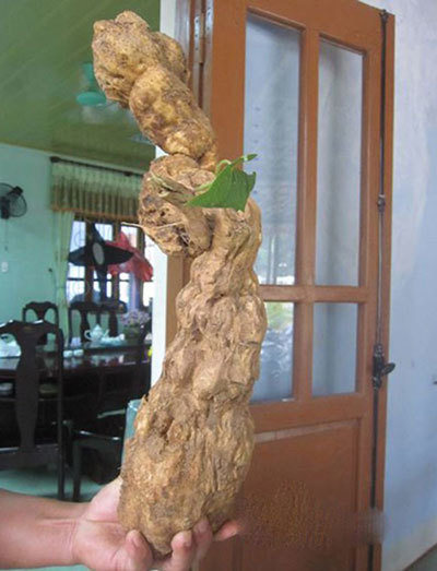 {keywords} {keywords}