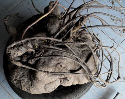 {keywords} {keywords}