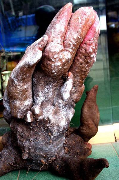 {keywords} {keywords}