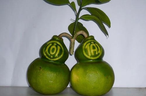 Chi bạc triệu sắm quả lạ chơi Tết