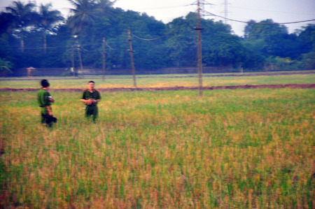 Tử vong vì sờ vào bò bị điện giật