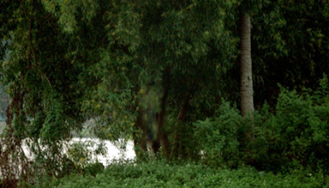 Phát hiện thi thể cô gái không mặc áo treo trên cây