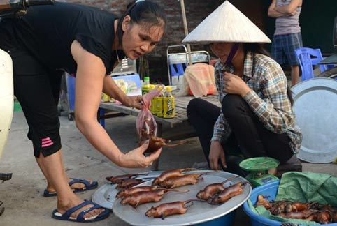 chuột, thịt chuột, Canh Nậu, Thạch Thất