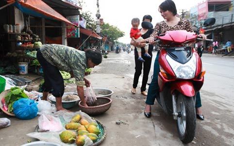 Nữ tài xế bị tai nạn khi vừa lái xe vừa chơi với mèo cưng