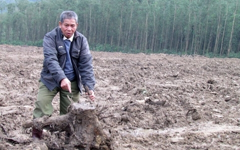 Huy động cả trăm cán bộ 'giúp' DN tư nhân