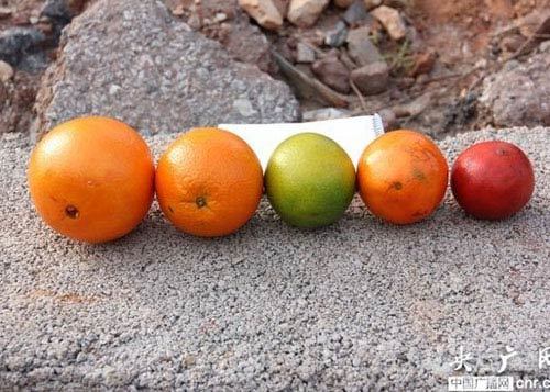 Cam Trung Quốc nghi 'tắm' phẩm màu ung thư