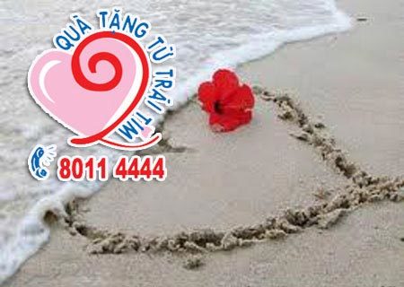 20/11 thời bận rộn: Alo vẫn tìm được quà hợp ý