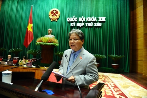 Cho phép mang thai hộ vì mục đích nhân đạo