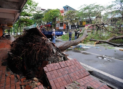 Quảng Ninh thiệt hại 200 tỷ đồng do bão Haiyan