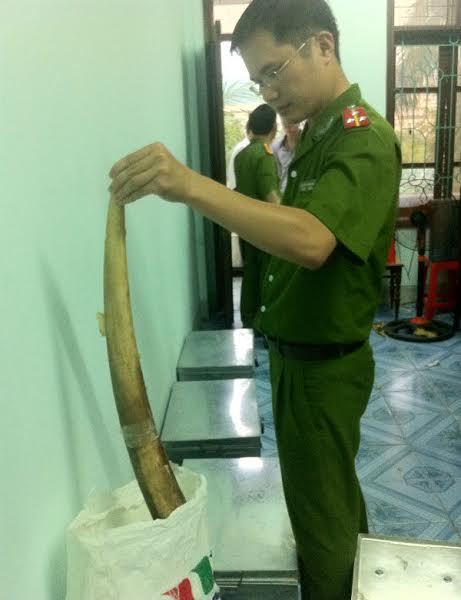 Bắt thêm một cán bộ thi hành án trộm ngà voi