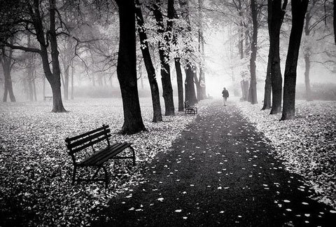 Vợ đánh đổi 5 năm hôn nhân lấy tình 2 tháng