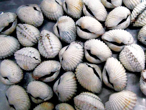 Hải sản càng tẩy trắng, càng độc hại