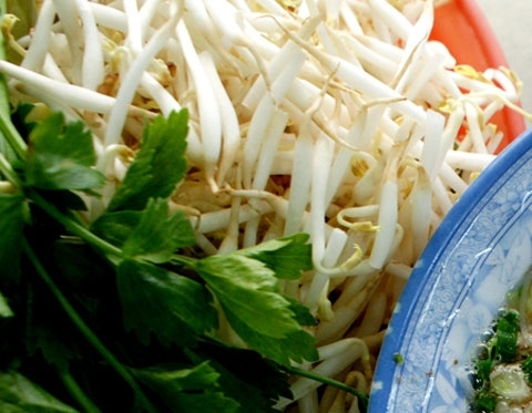 Đào xác thối làm đặc sản, tiêm kích thích cho rau mầm