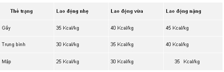 Du học, 'phao cứu sinh' cho học sinh trượt đại học?