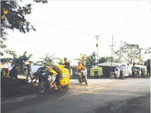 Chợ phân bốc mùi nhộn nhịp giữa Thủ đô