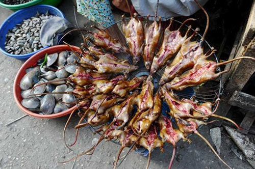 Thịt chuột Việt Nam lên báo nước ngoài