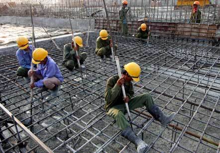 Dẫn hổ về nhà chơi