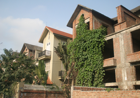 Bi kịch đại gia phá sản dạt về biệt thự hoang
