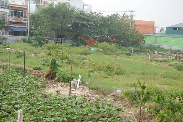 Di dời trường chuẩn quốc gia để phân lô, bán đất nền