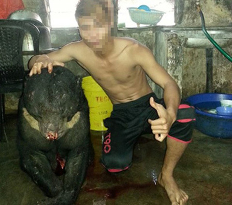 Nam thanh niên khoe ảnh giết gấu dã man trên facebook