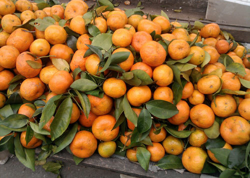 Hàng Tàu đổ bộ đón tết Việt