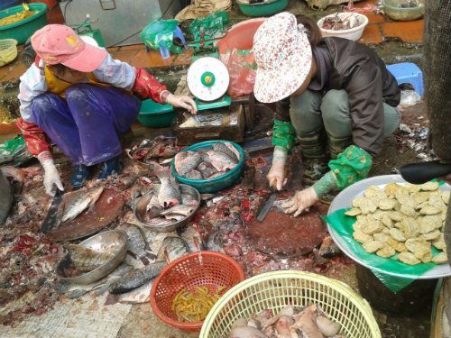 Cá, gà làm tại chợ: Bẩn kinh hoàng chị em vẫn ham