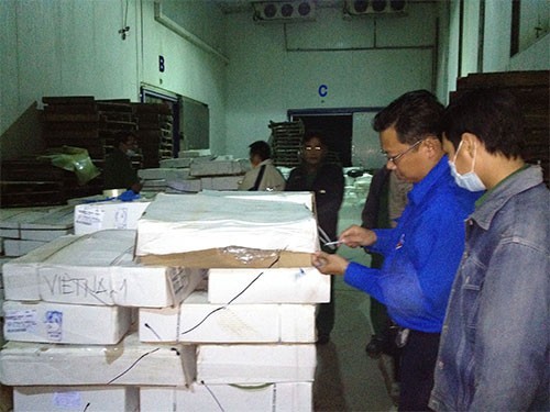 12 tấn thịt bò ngoại quá hạn 2 năm cho công nhân ăn