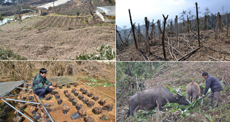 Hình ảnh Sa Pa xác xơ khi tuyết tan